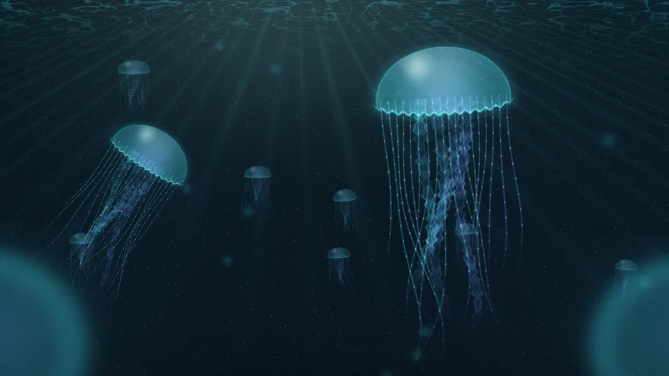 Glowing jellyfish drifting beneath the surface.